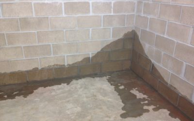 5 Signs of a Wet Basement Problem